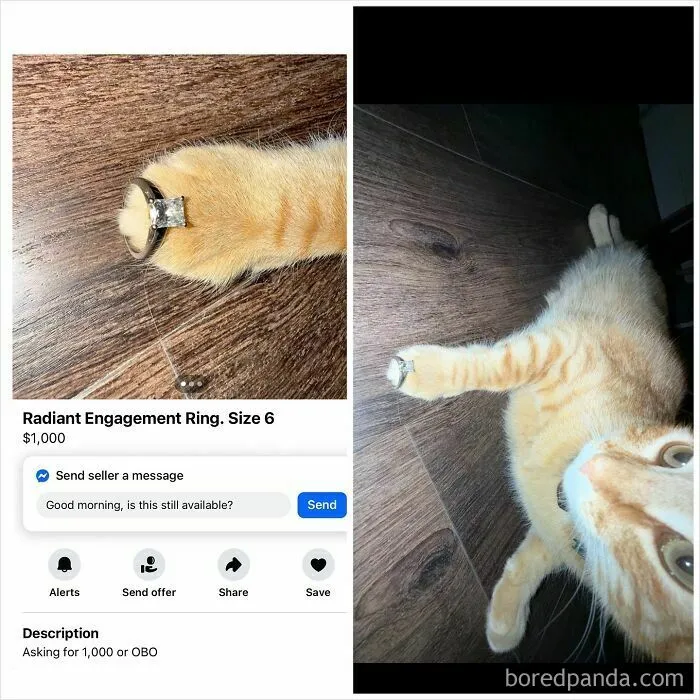 81 Of The Most Insane Things People Have Tried To Sell On Facebook Marketplace (New Pics)