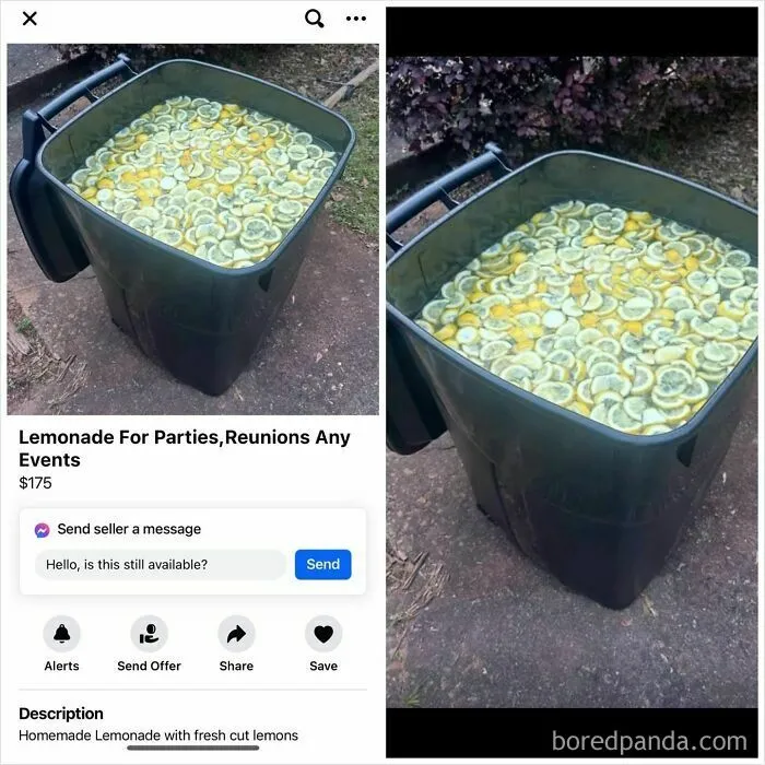Large container of homemade lemonade with fresh lemon slices on Facebook Marketplace