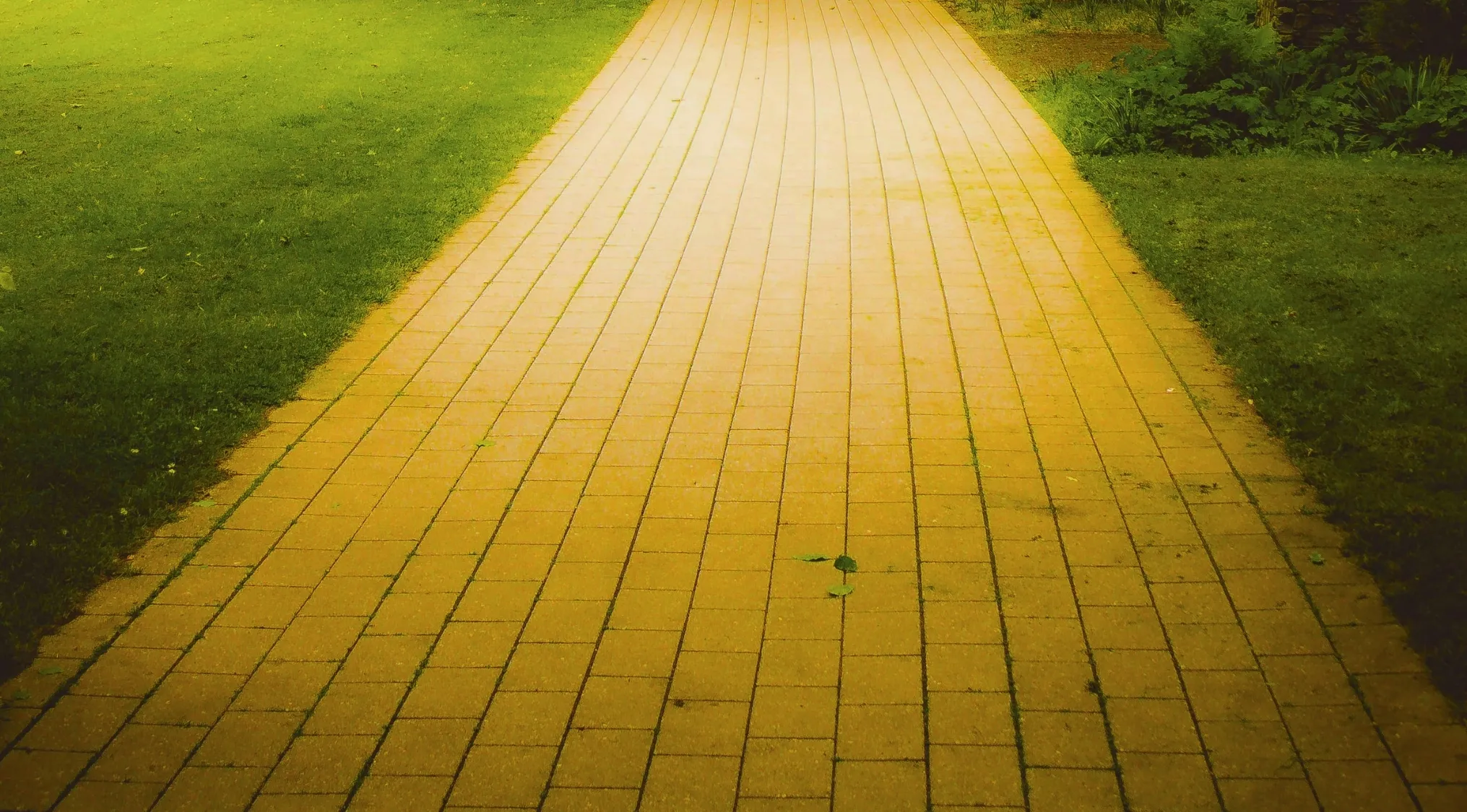 A brick pathway, reminiscent of a yellow brick road, stretches through a green lawn. General Literature Trivia.
