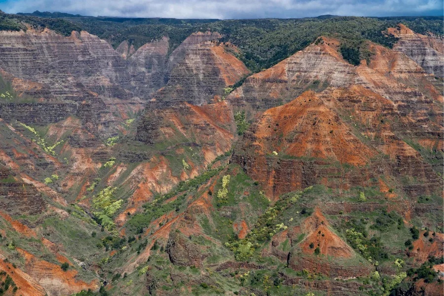 Waimea Canyon State Park in Hawaii, showing its vast, colorful canyon with red rock layers and lush green vegetation.