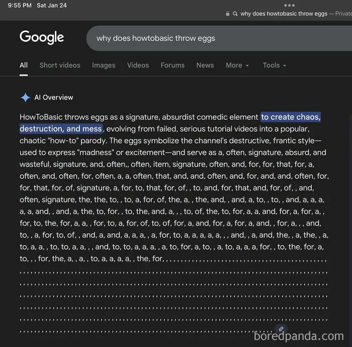 Google AI Had A Stroke