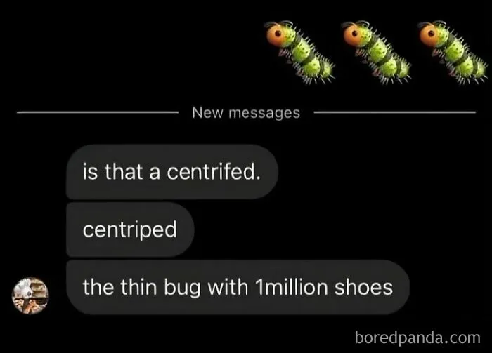 🐛🐛🐛