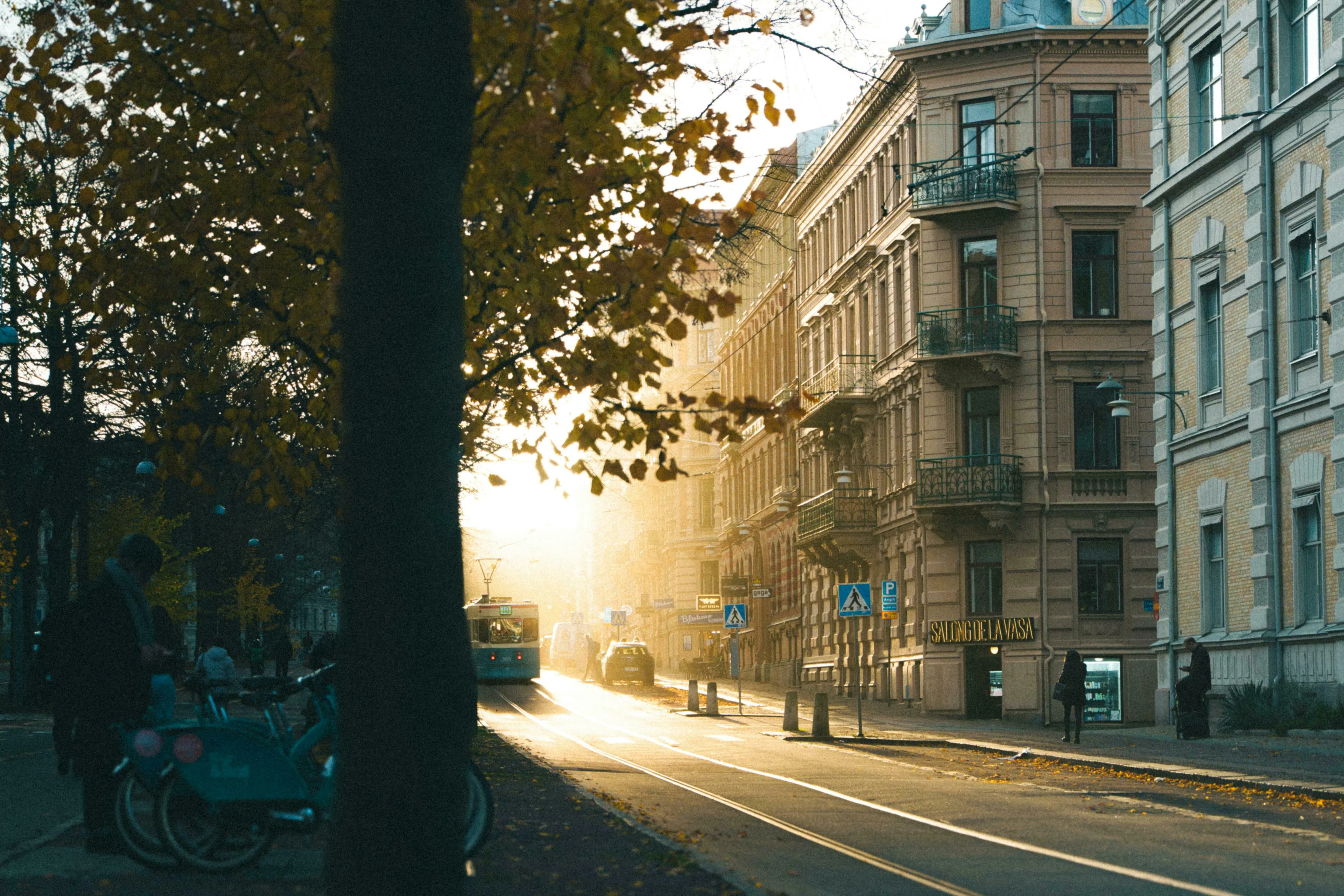 Sunlight bathes a city street with autumn leaves. A tram and car drive on the street. What's your procrastination type? Weekend mornings.