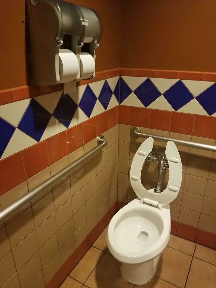 You Install Bars For People That May Have Trouble Getting Up And Down Off The Toilet And Then Install The Toilet Paper Dispenser Almost 5 Feet Up Off The Floor?
