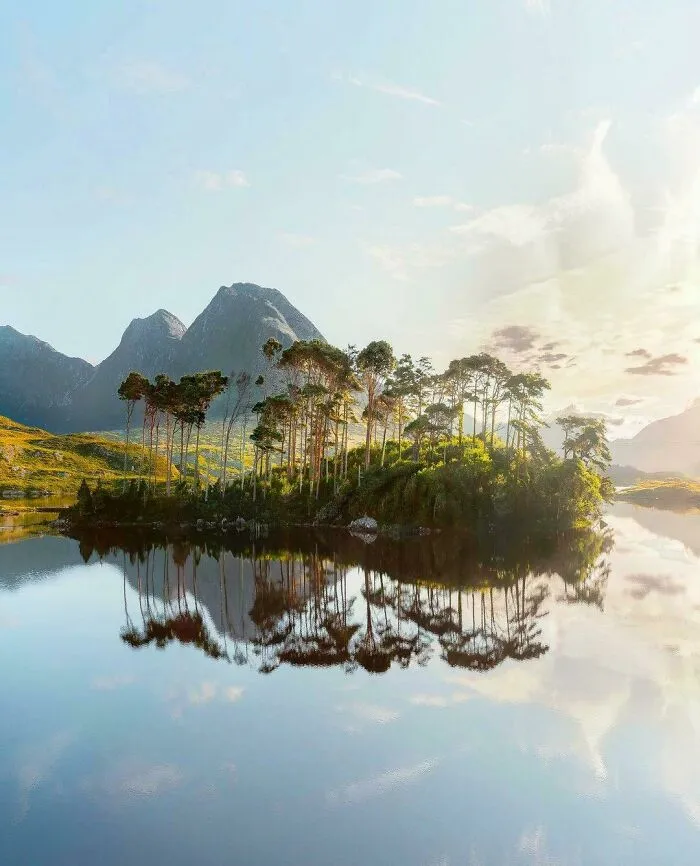 Pine Island On Derryclare Lough, Connemara, Galway, Ireland