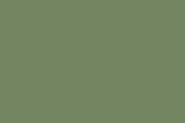 A solid, muted sage green block. This color swatch is calming and versatile, a good choice to select a color for design.