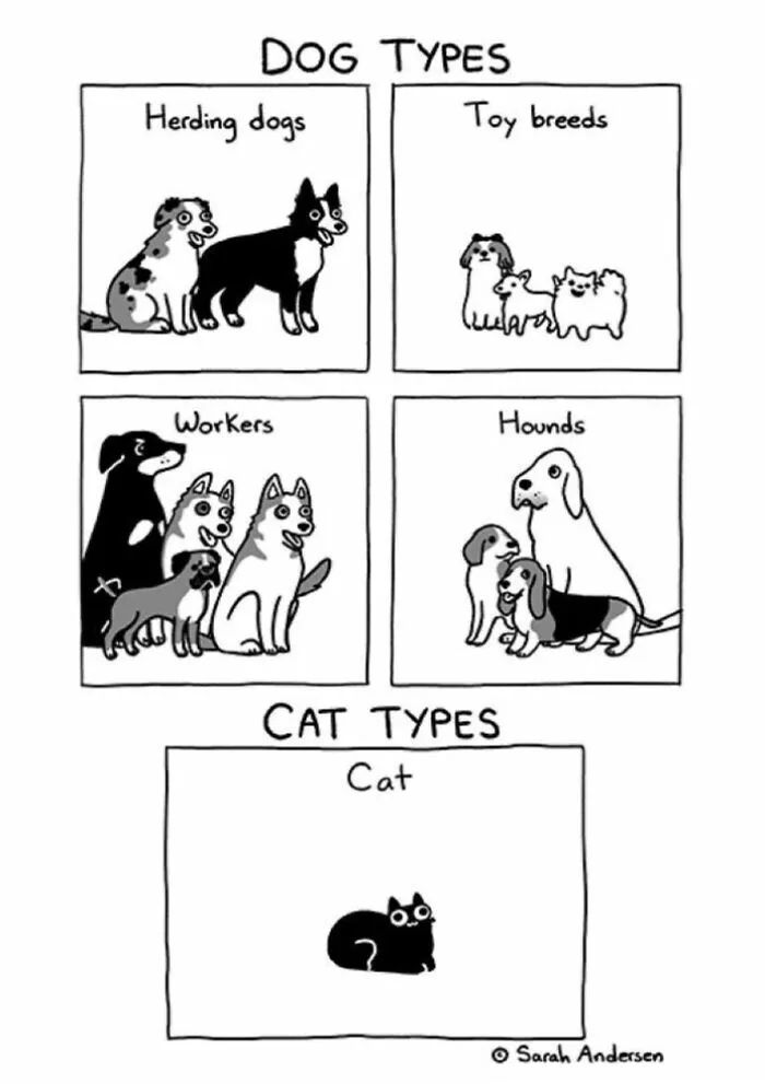 65 Best Comics By Sarah Andersen That Sum Up Every Introvert's Life 