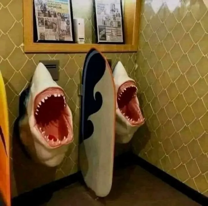 Retretes de tiburón