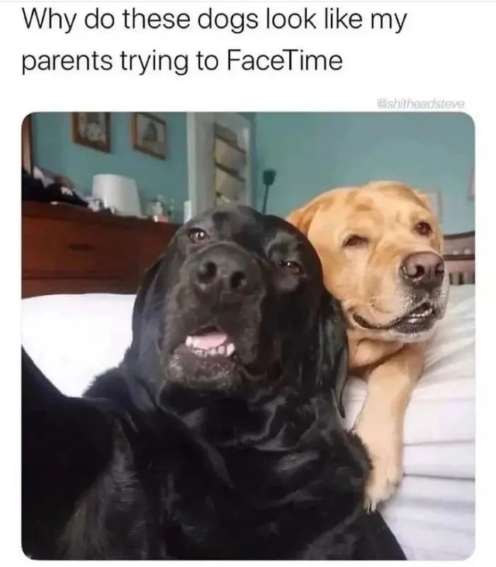 Lmao