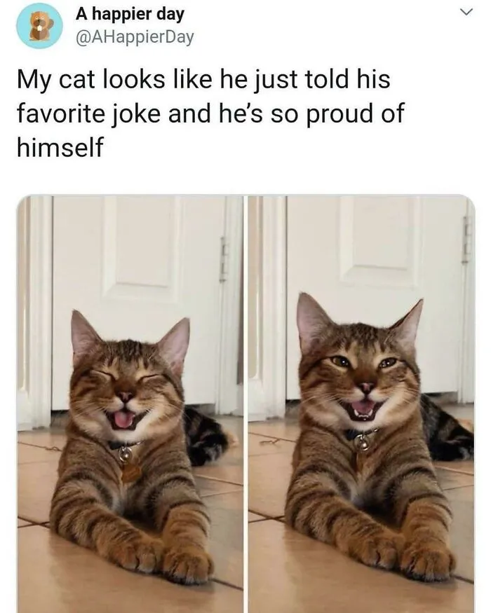 I Would Love To Know What The Joke Was