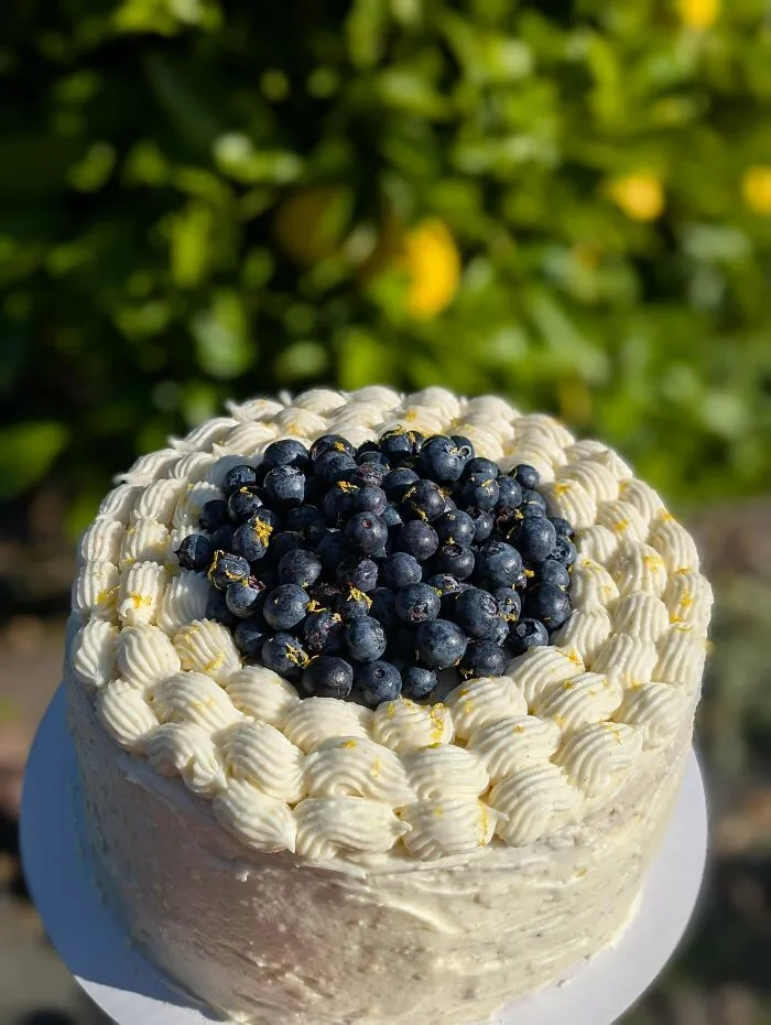 Blueberry topped cake with piped cream frosting in natural light