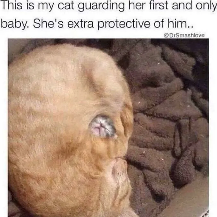 Please Release Me From The Void