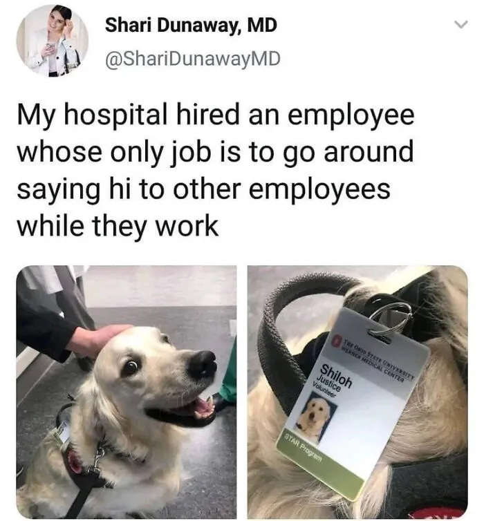 Nice Employee