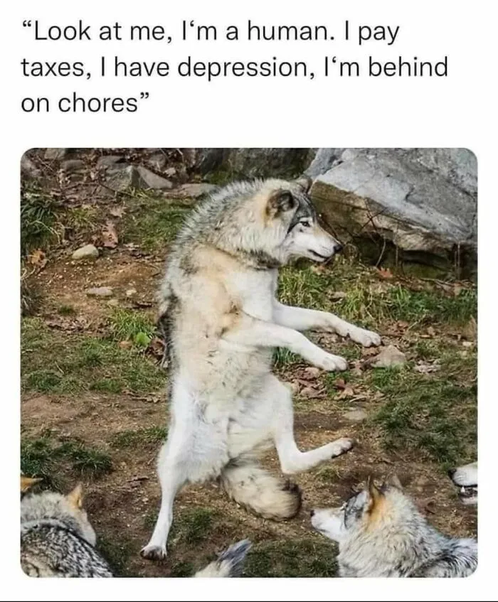 The Greatest Comedian In The Wolf Tribe