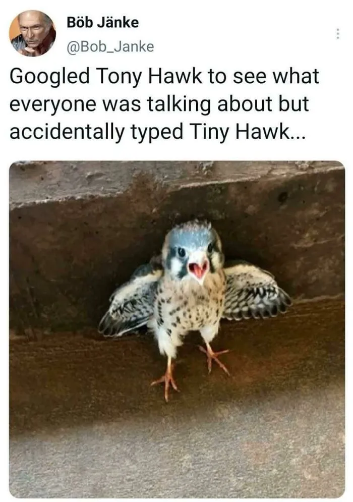 Happy Accident