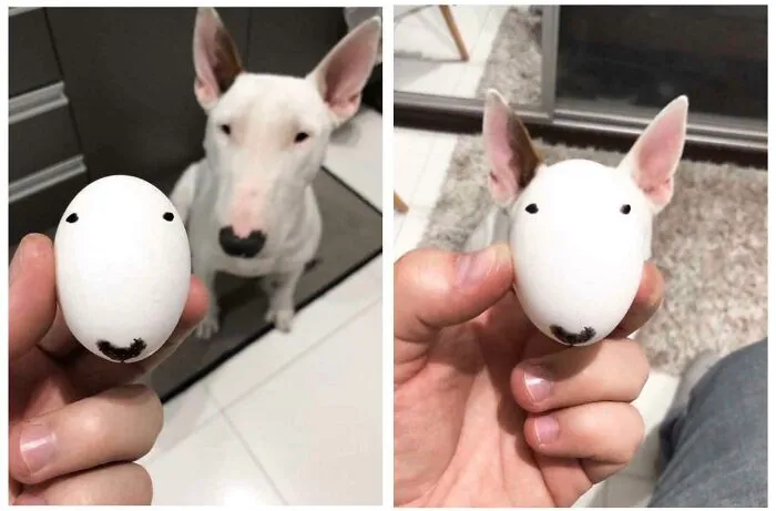 Parecidos razonables