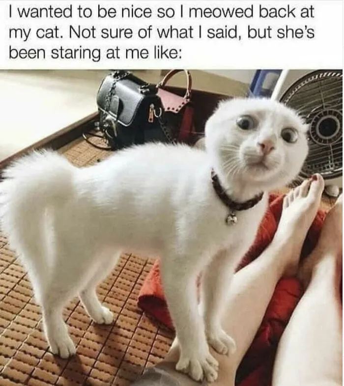 "W-What?"