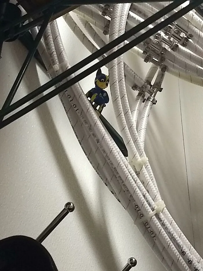 Sé que esto es una tontería, pero seguimos encontrando juguetes al azar en el trabajo y es bastante gracioso.