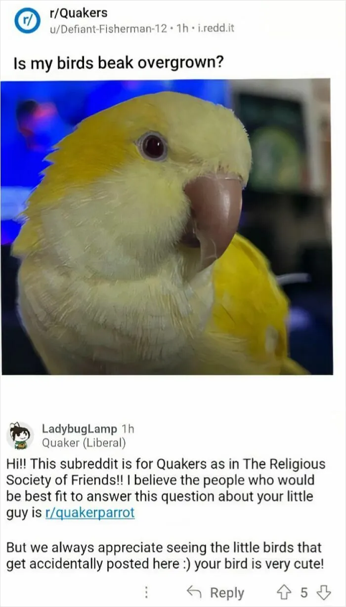 Dumb People Have Access To The Internet Too And Posted These 61 Hilarious Posts