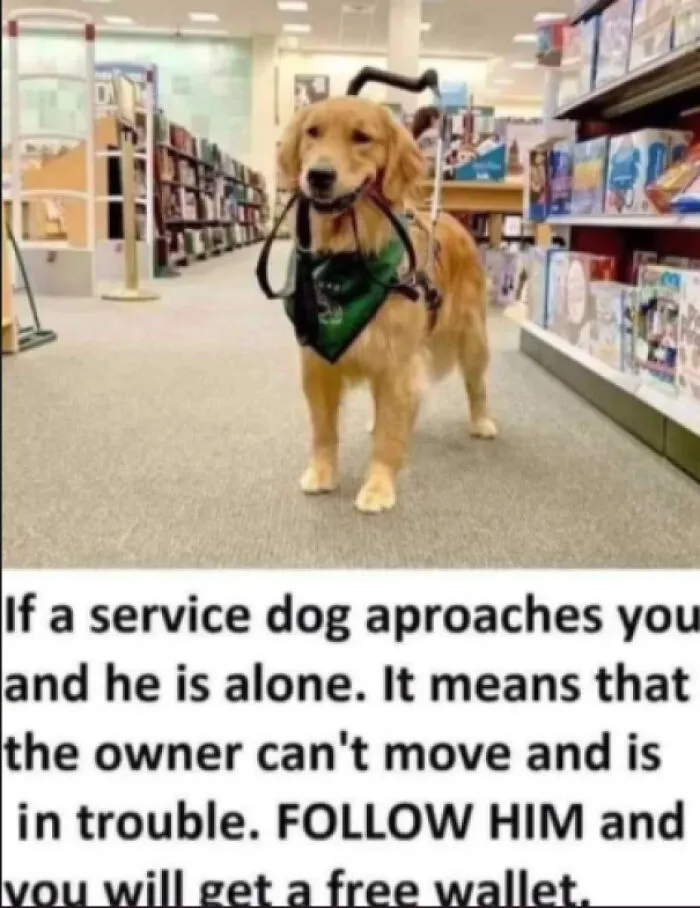 Hmmmm