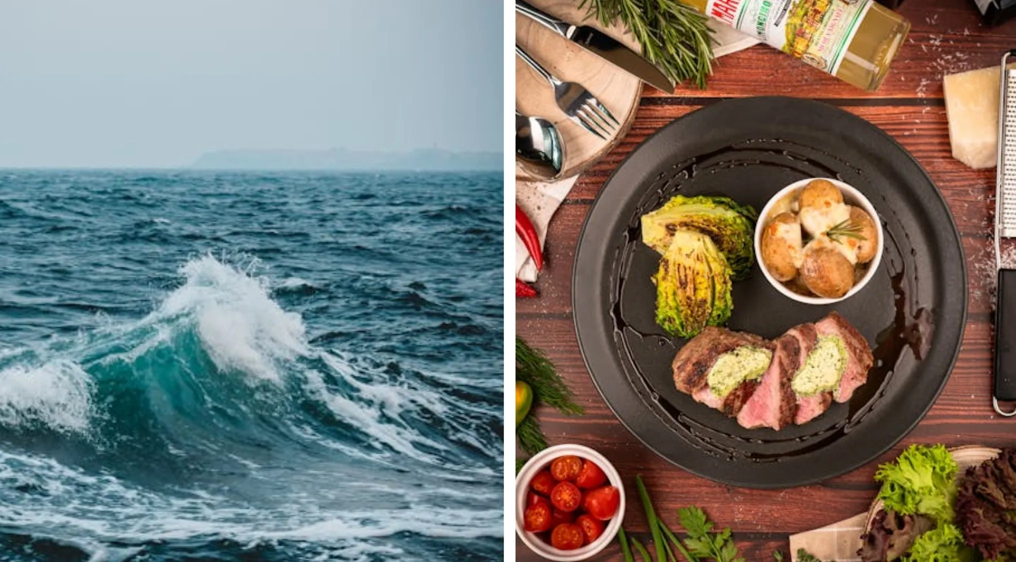 Two images juxtaposed: crashing ocean waves and a gourmet meal. Words From Two Images.