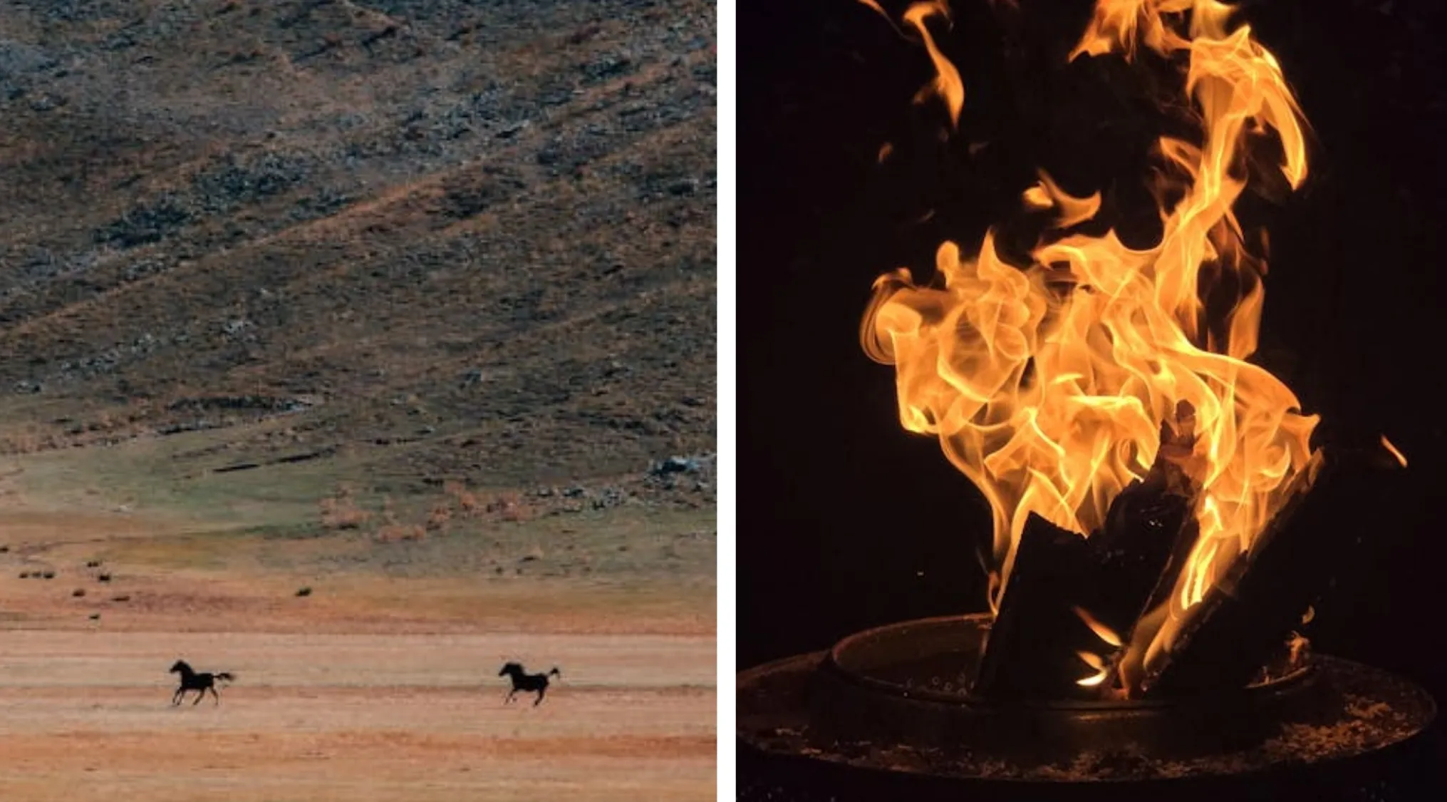 Two images side-by-side. On the left, two horses run across a dry field with mountains in the background. On the right, a bright fire burns in a fire pit against a dark background, showcasing visuals for a word puzzle.