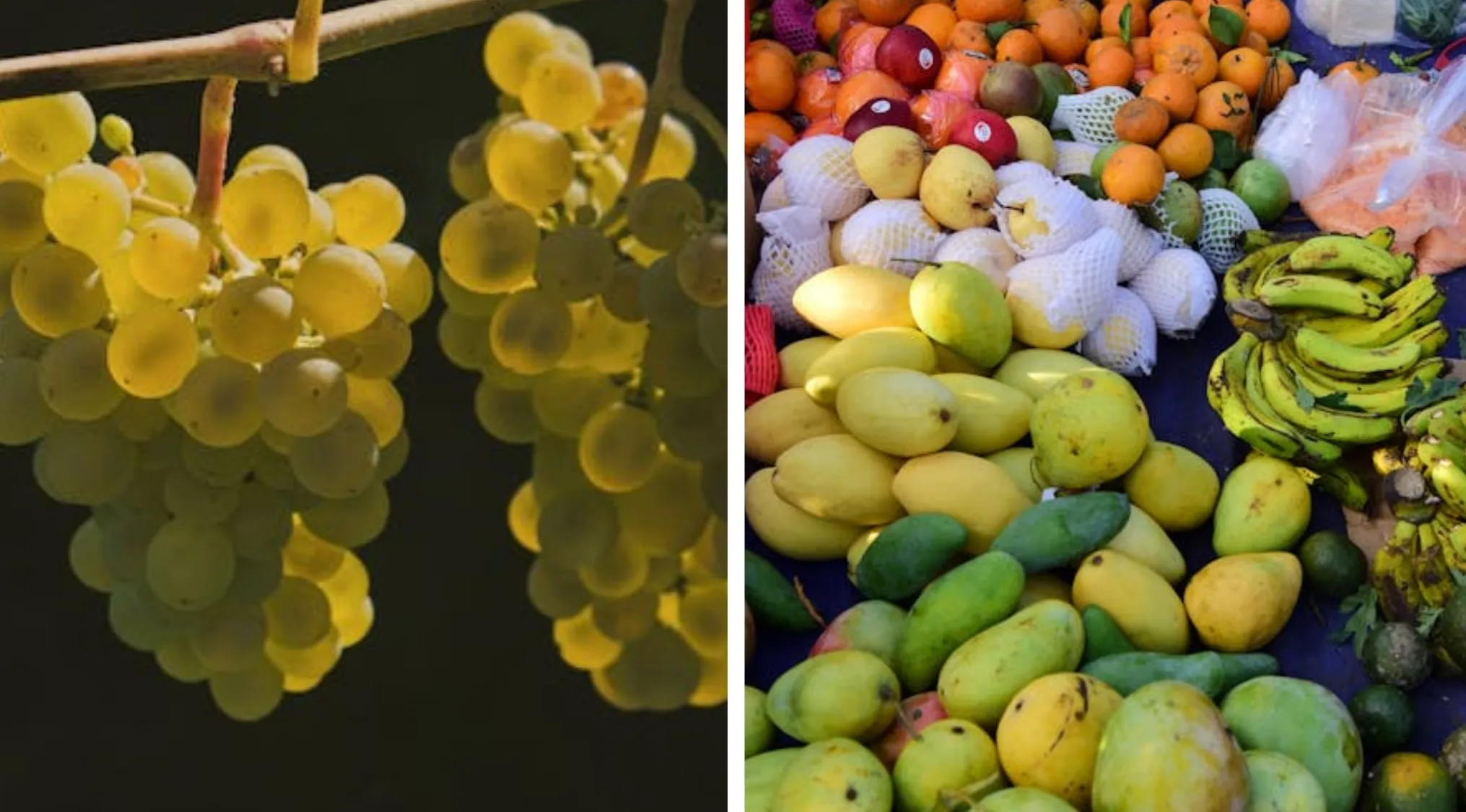 Two images: ripe yellow grapes on a vine and a fruit stall with mangoes, bananas, oranges. Find the hidden word.