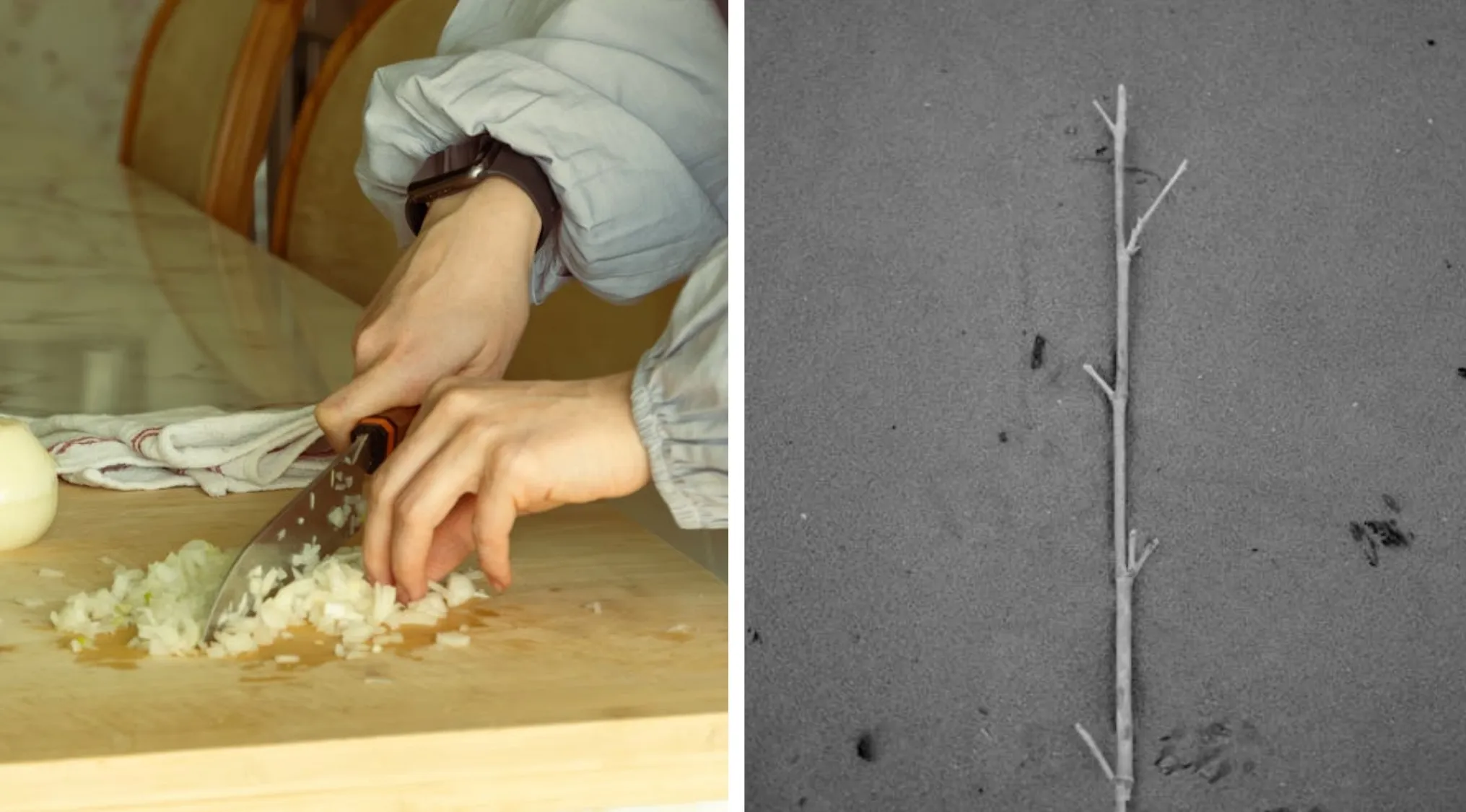 Two images to figure out the word: someone chopping onions, and a twig lying on grey sand.