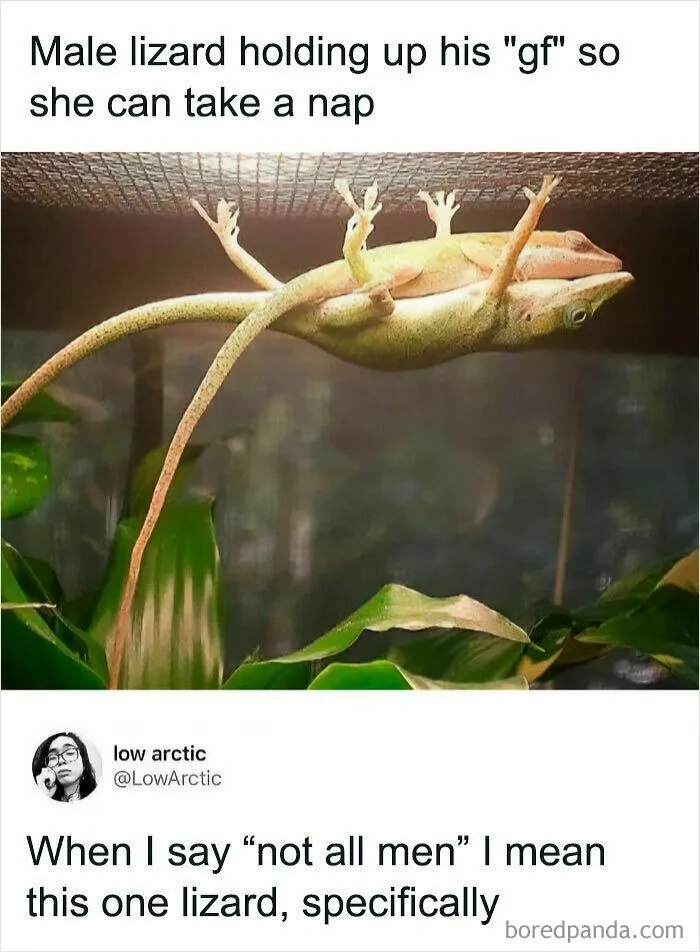 If Nothing Brings You Joy Anymore, Try These 75 Funny And Wholesome Animal Memes