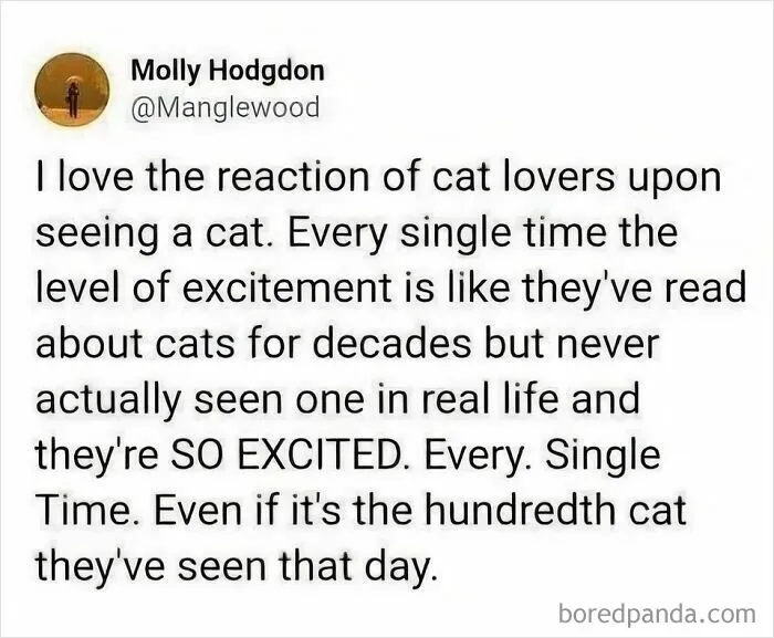 79 Hissterical Memes You’d Like To Tag Your Cat In (New Pics)