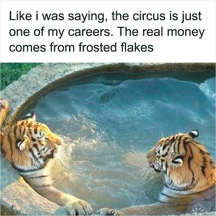 If Nothing Brings You Joy Anymore, Try These 75 Funny And Wholesome Animal Memes