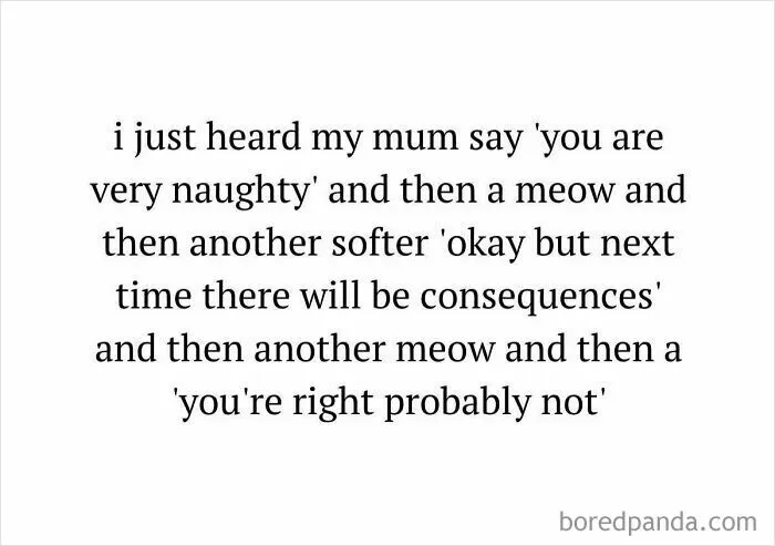 79 Hissterical Memes You’d Like To Tag Your Cat In (New Pics)