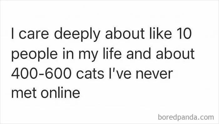 79 Hissterical Memes You’d Like To Tag Your Cat In (New Pics)