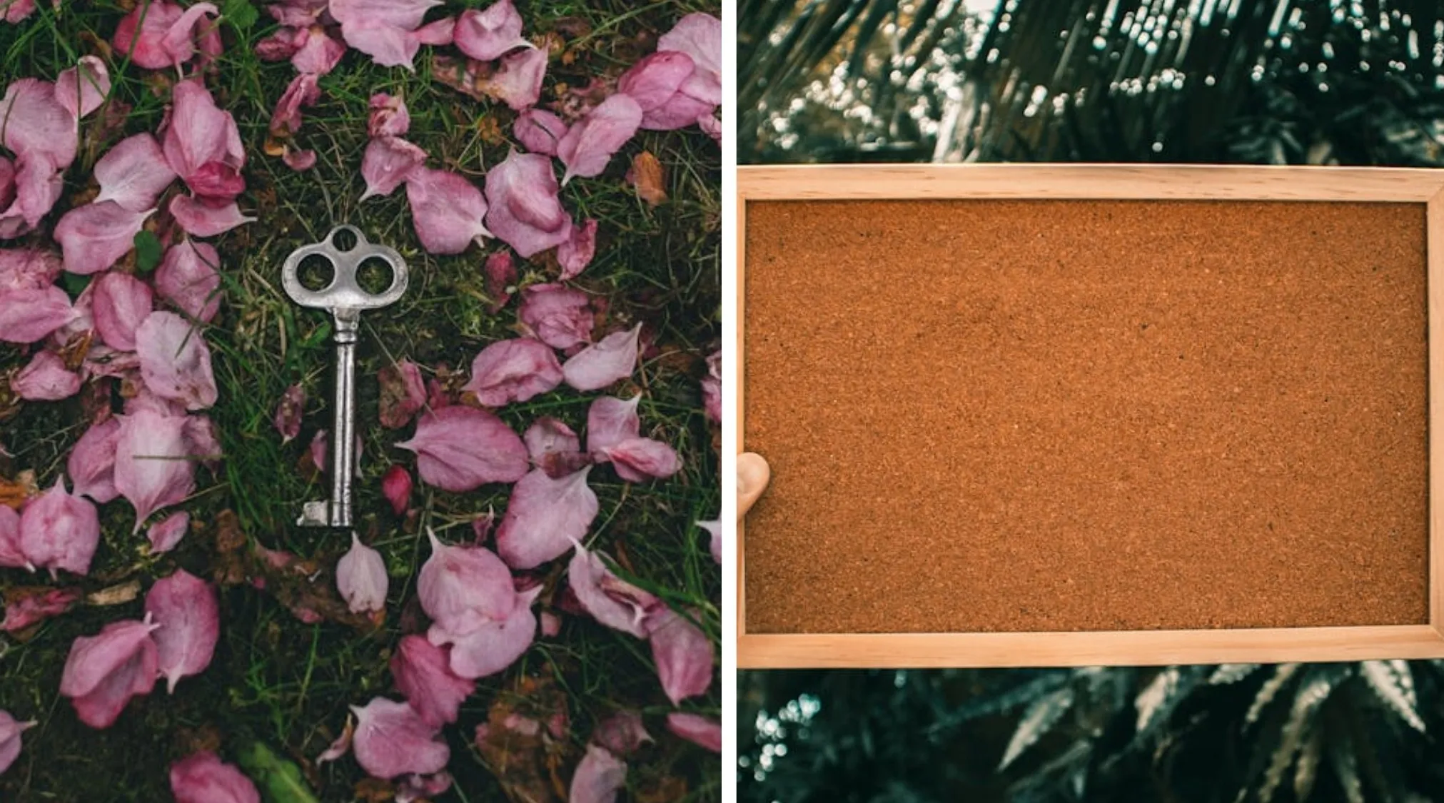 A visual puzzle showing a vintage key among pink petals and a blank cork board. Find the word hidden.