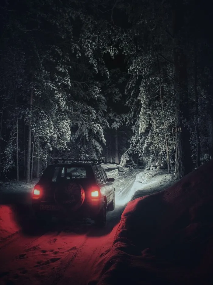 I Drove Into A Deep Winter Forest At Night, And It Looks Like In Some Stephen King Story