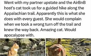 85 Wholesome Posts For Anyone Who’s Had A Rough Month