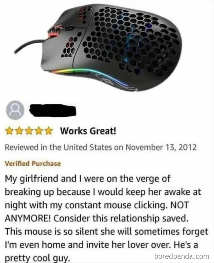 Mouse With A Million Holes (With Bonus Silly Review)