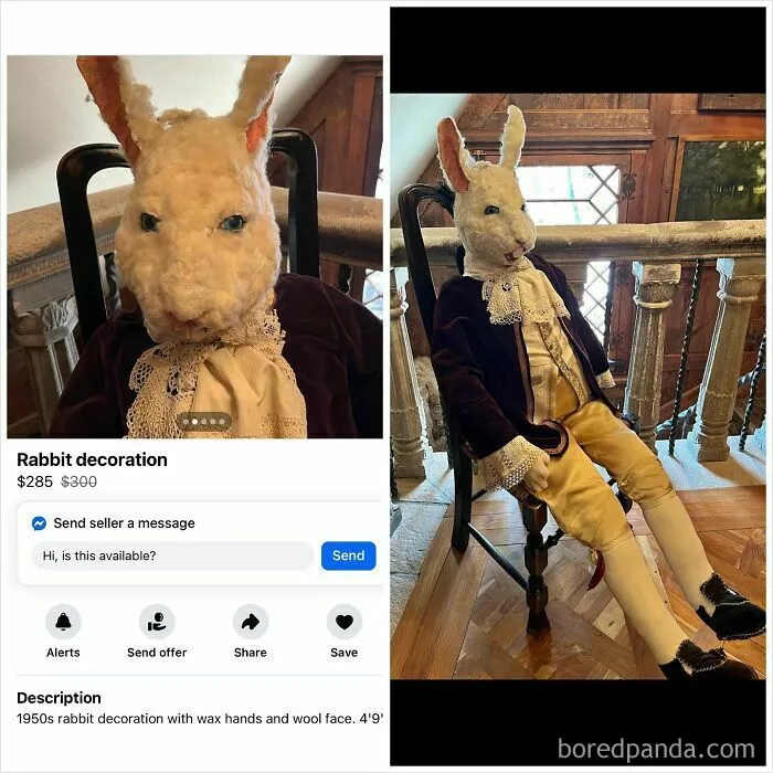 81 Of The Most Insane Things People Have Tried To Sell On Facebook Marketplace (New Pics)
