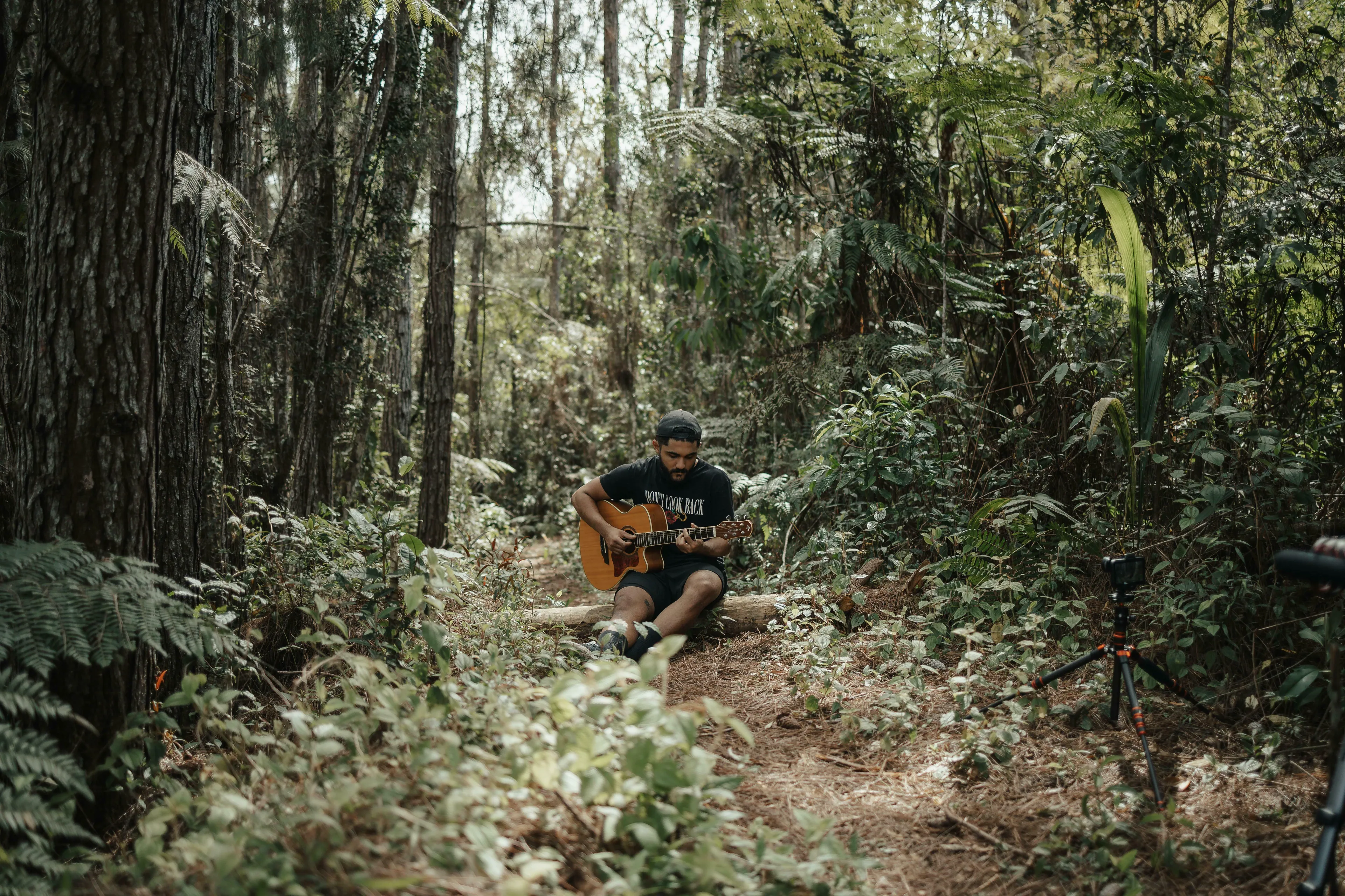A man playing a guitar in a lush forest. General Knowledge Quiz: how many strings does a standard guitar have?