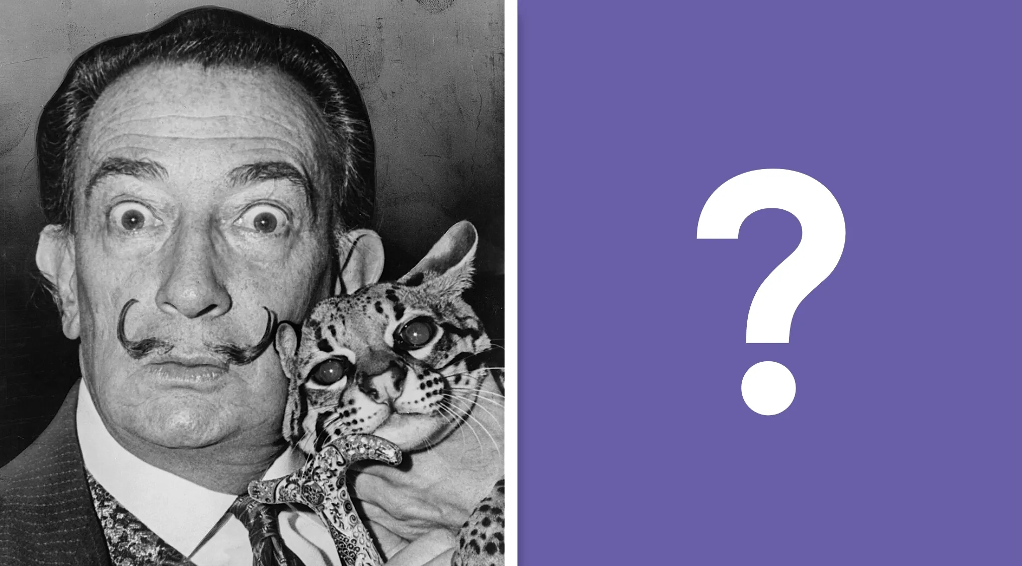 Salvador Dali with an ocelot, next to a question mark on a purple background for a General Knowledge Quiz.