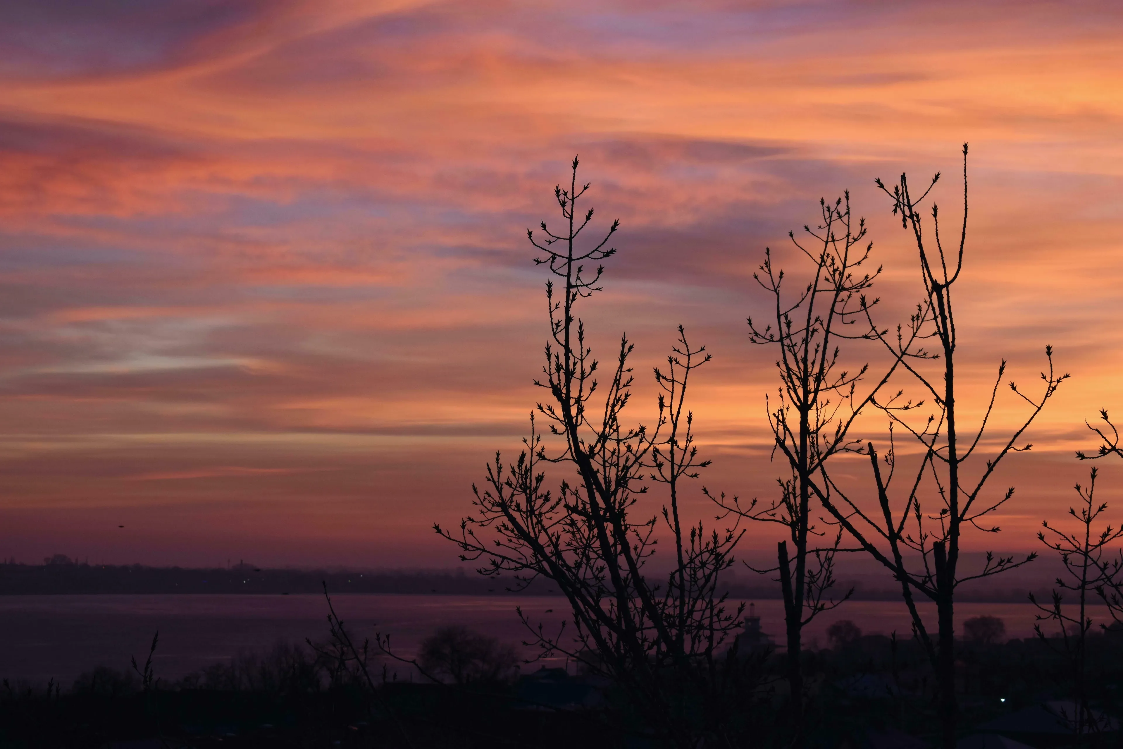 A dramatic sunset with vibrant orange and purple clouds, silhouetted trees, and a dark water body. How do you feel on Sunday evenings?
