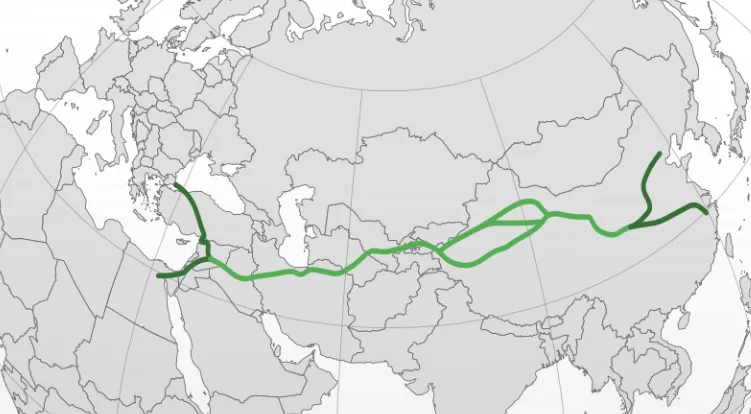 Map highlighting The Silk Road, an ancient trade route. Test your general knowledge by identifying the route connecting China to the Mediterranean.