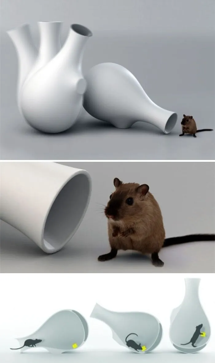 Attractive And Humane Mousetrap Vase Made By Aakash Dewan In India