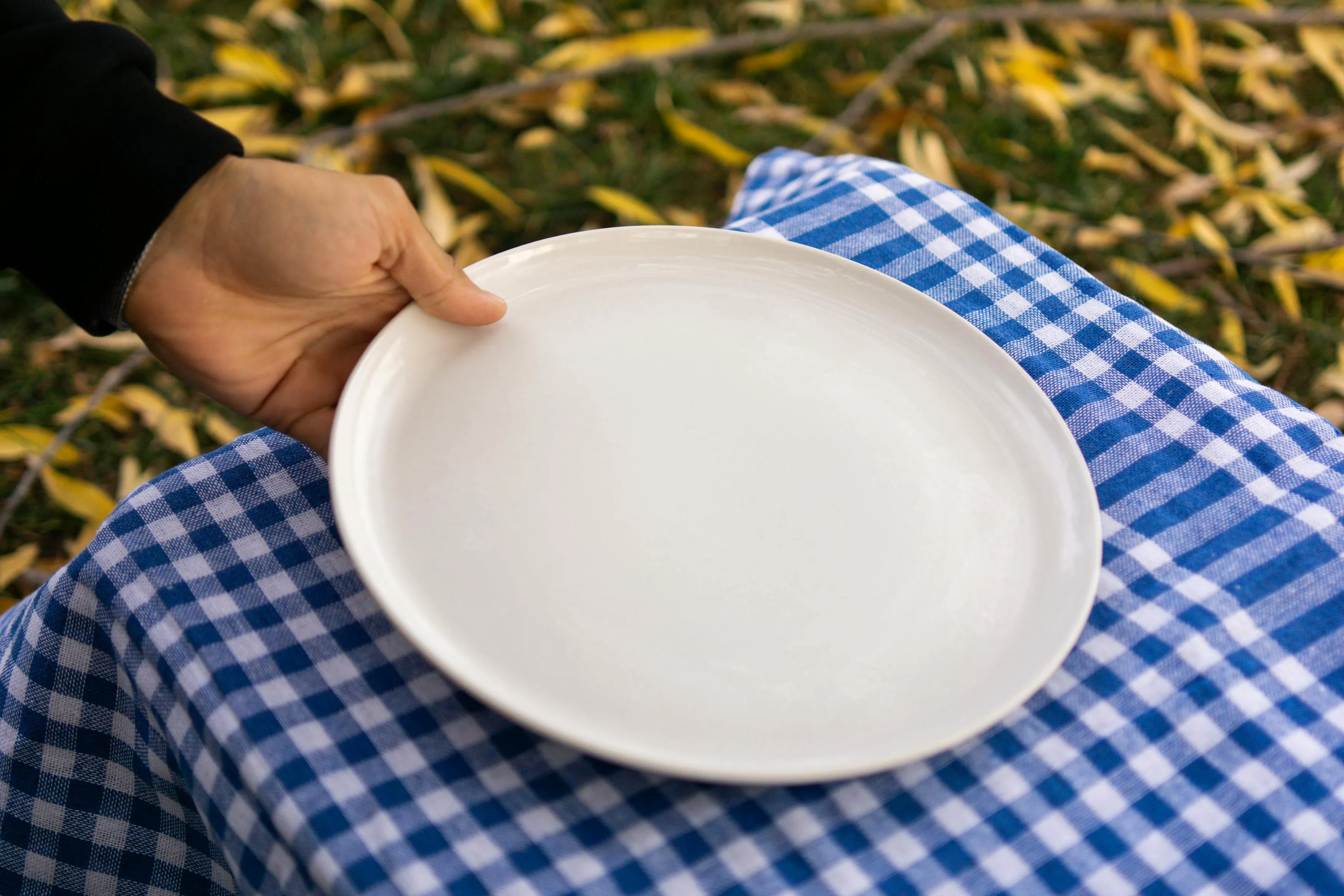 A hand placing an empty white plate on a blue and white checkered cloth outdoors. Consider your usual morning energy.