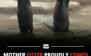 “Be Amazed”: 90 Wholesome Things That Might Restore Your Faith In The Internet (New Pics)