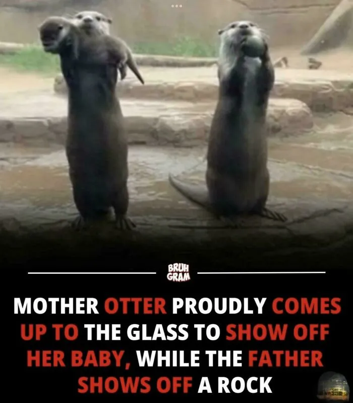 Cute Isn’t It