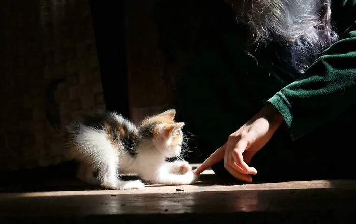Playing In The Light