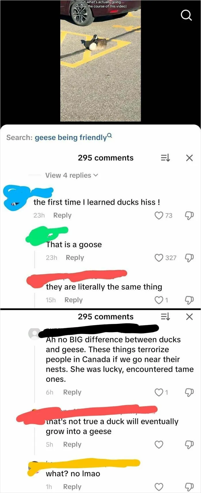 Geese Come From Ducks Now, Apparently? The OG Commenter Just Accepted They Were Wrong, But Not This Guy, For Some Reason