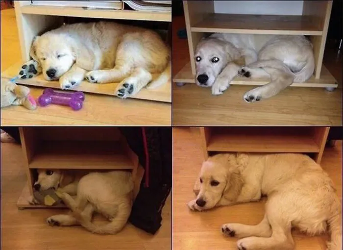 Growing Up Is Hard