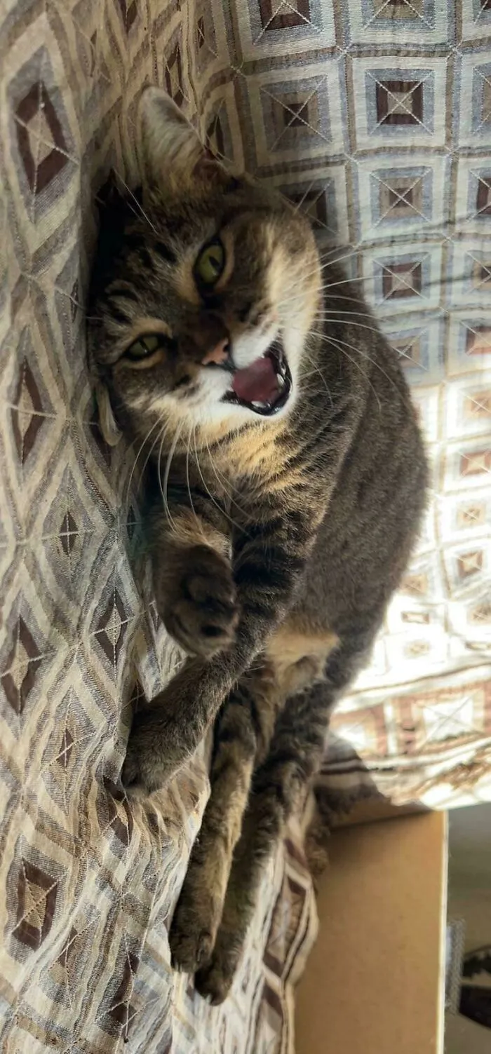 She Was Just Making Sure We Got Her Best Angles